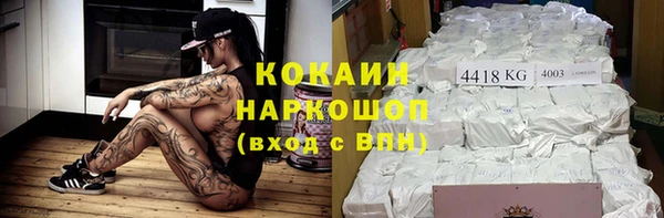 дмт Алексин